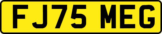FJ75MEG