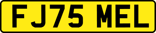 FJ75MEL
