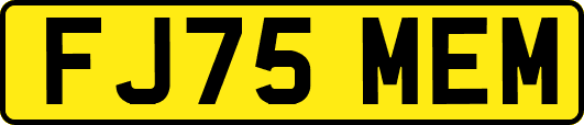 FJ75MEM