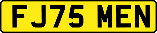 FJ75MEN