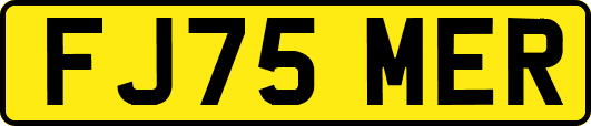 FJ75MER
