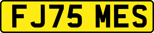 FJ75MES