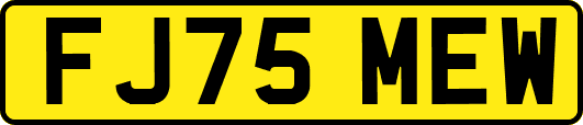 FJ75MEW