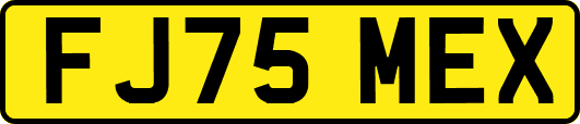 FJ75MEX
