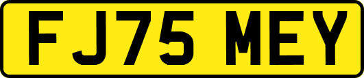 FJ75MEY