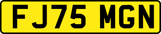 FJ75MGN