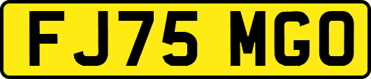 FJ75MGO