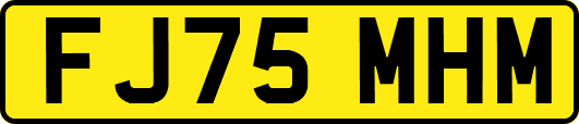 FJ75MHM