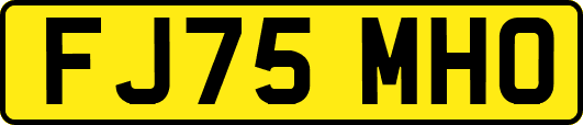 FJ75MHO
