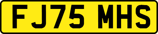 FJ75MHS