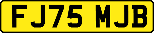 FJ75MJB
