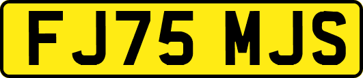 FJ75MJS