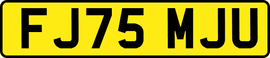 FJ75MJU