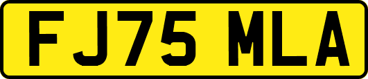 FJ75MLA