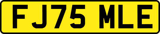 FJ75MLE