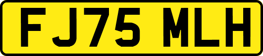 FJ75MLH