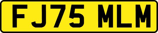 FJ75MLM