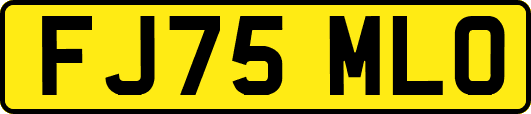 FJ75MLO