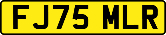 FJ75MLR