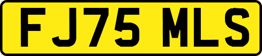 FJ75MLS