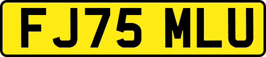 FJ75MLU