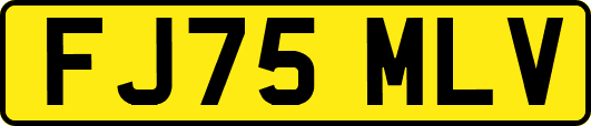 FJ75MLV