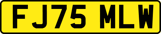 FJ75MLW
