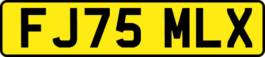 FJ75MLX