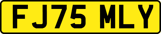 FJ75MLY