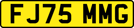 FJ75MMG