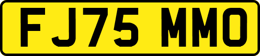 FJ75MMO