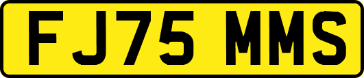 FJ75MMS