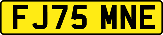 FJ75MNE