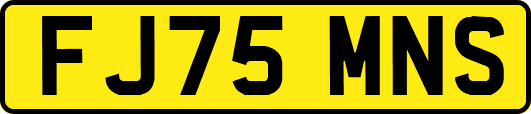FJ75MNS