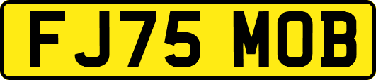 FJ75MOB