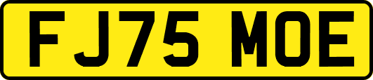 FJ75MOE