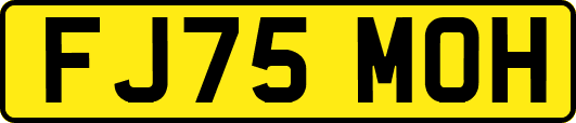 FJ75MOH