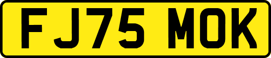 FJ75MOK
