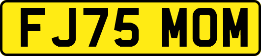 FJ75MOM