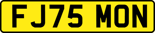 FJ75MON