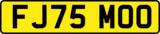 FJ75MOO
