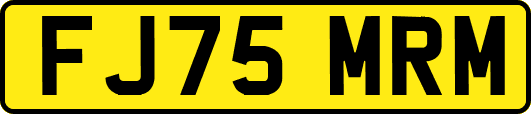 FJ75MRM