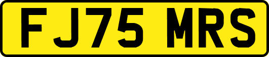 FJ75MRS
