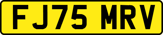 FJ75MRV