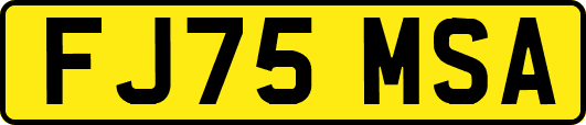 FJ75MSA