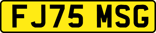 FJ75MSG