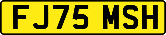 FJ75MSH