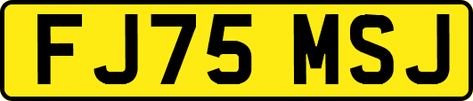 FJ75MSJ