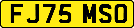 FJ75MSO