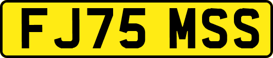 FJ75MSS